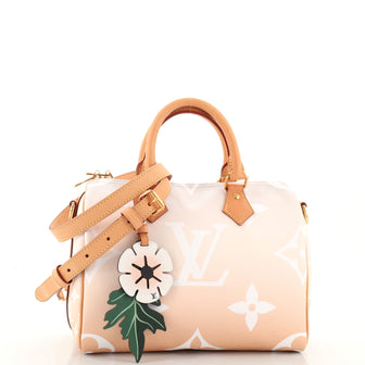 Louis Vuitton Speedy Bandouliere Bag By The Pool Monogram Giant 25