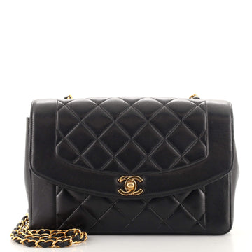Chanel Vintage Diana Flap Bag Quilted Lambskin Medium