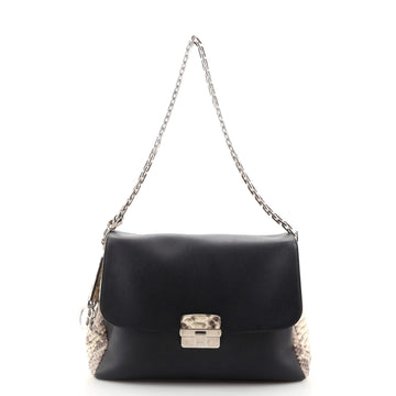 Christian Dior Diorling Shoulder Bag Leather with Python Large