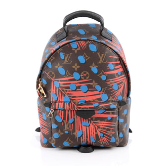 Louis Vuitton Palm Springs Backpack Limited Edition Monogram Canvas PM Brown