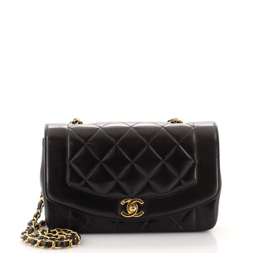 Chanel Vintage Diana Flap Bag Quilted Lambskin Small