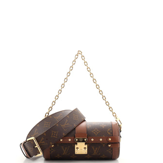 Louis Vuitton Papillon Trunk Bag Monogram Canvas