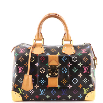Louis Vuitton Speedy Handbag Monogram Multicolor 30