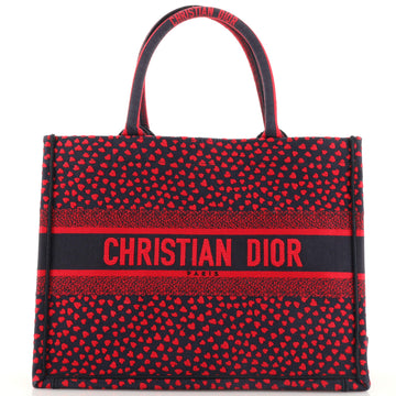 Christian Dior Book Tote I Love Paris Heart Embroidered Canvas Medium