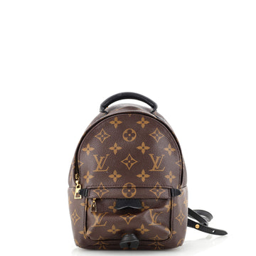 Louis Vuitton Palm Springs Backpack Monogram Canvas Mini