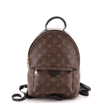 Louis Vuitton Palm Springs Backpack Monogram Canvas PM