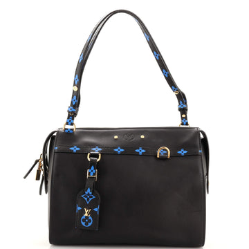 Louis Vuitton Speedy Amazon Bag Leather with Monogram Canvas MM