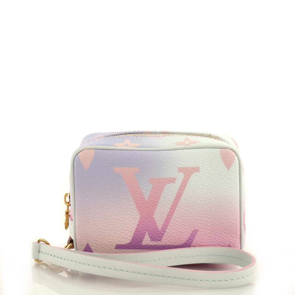 Louis Vuitton Wapity Case Spring in the City Monogram Giant Canvas