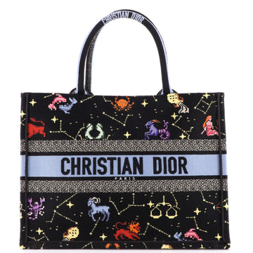 Christian Dior Book Tote Embroidered Canvas Medium