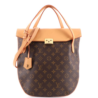 Louis Vuitton Flappy Handbag Monogram Canvas