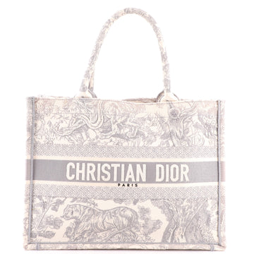 Christian Dior Book Tote Embroidered Canvas Medium