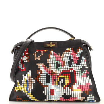 Fendi Peekaboo Bag Embroidered Leather Large