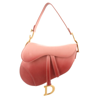 Christian Dior Saddle Handbag Gradient Leather Medium