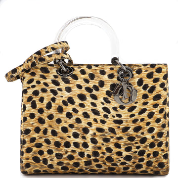 Christian Dior Vintage Lady Dior Bag Printed Canvas Large