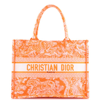 Christian Dior Book Tote Embroidered Canvas Medium