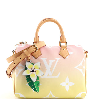 Louis Vuitton Speedy Bandouliere Bag By The Pool Monogram Giant 25