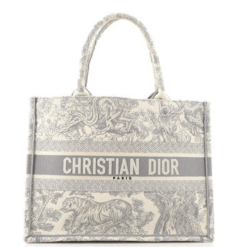 Christian Dior Book Tote Embroidered Canvas Medium