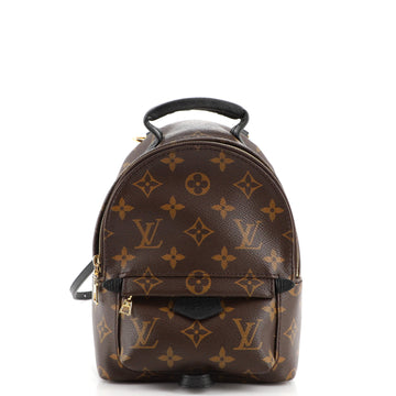 Louis Vuitton Palm Springs Backpack Monogram Canvas Mini