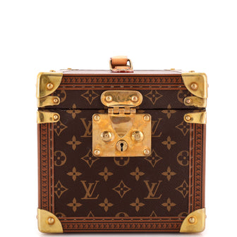 Pre-Owned Louis Vuitton Beauty Train Case 207484/22