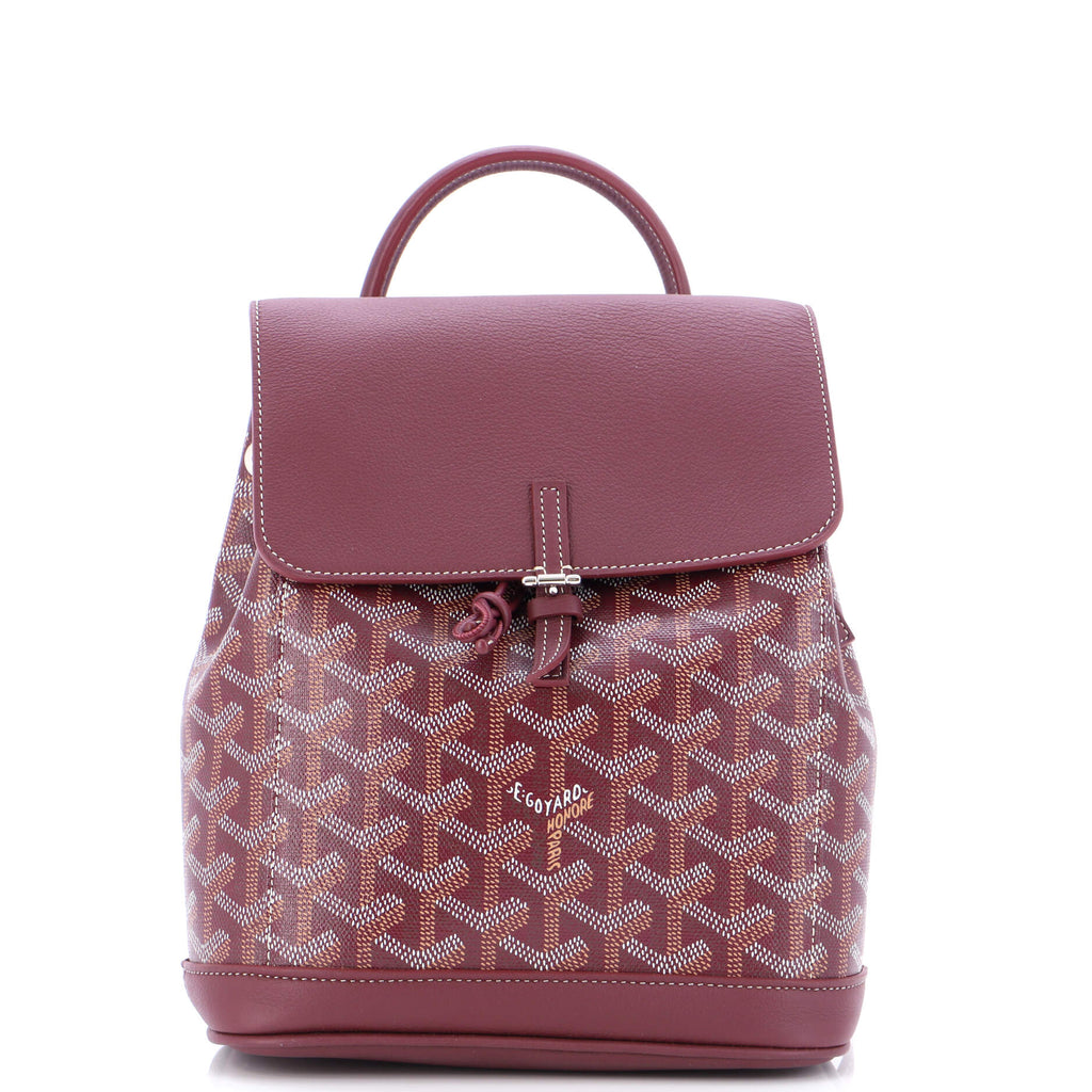 Goyard Alpin Backpack Coated Canvas Mini 208599