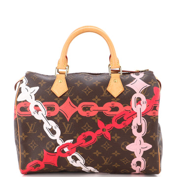 Louis Vuitton Speedy Handbag Limited Edition Bay Monogram Canvas 30