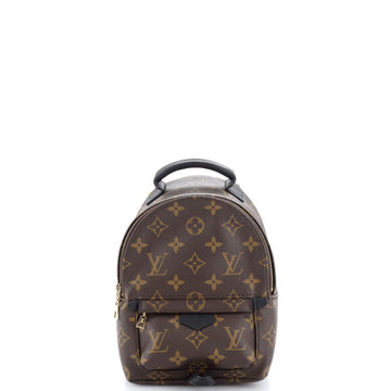 Louis Vuitton Palm Springs Backpack Monogram Canvas Mini