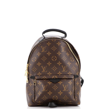 Louis Vuitton Palm Springs Backpack Monogram Canvas PM