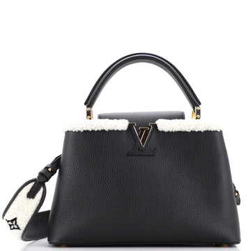 Louis Vuitton Capucines Bag Leather with Shearling MM