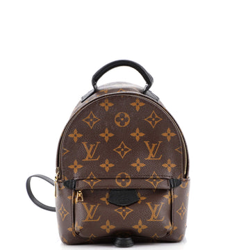Louis Vuitton Palm Springs Backpack Monogram Canvas Mini