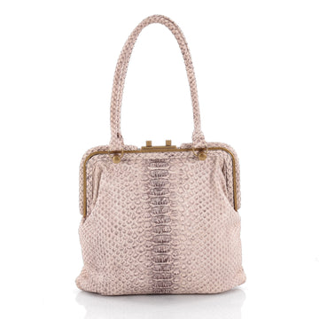 Bottega Veneta Frame Handle Bag Python Small Neutral 2133501