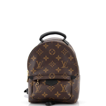 Louis Vuitton Palm Springs Backpack Monogram Canvas Mini