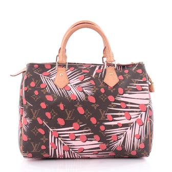 Louis Vuitton Speedy Handbag Limited Edition Monogram 2137404