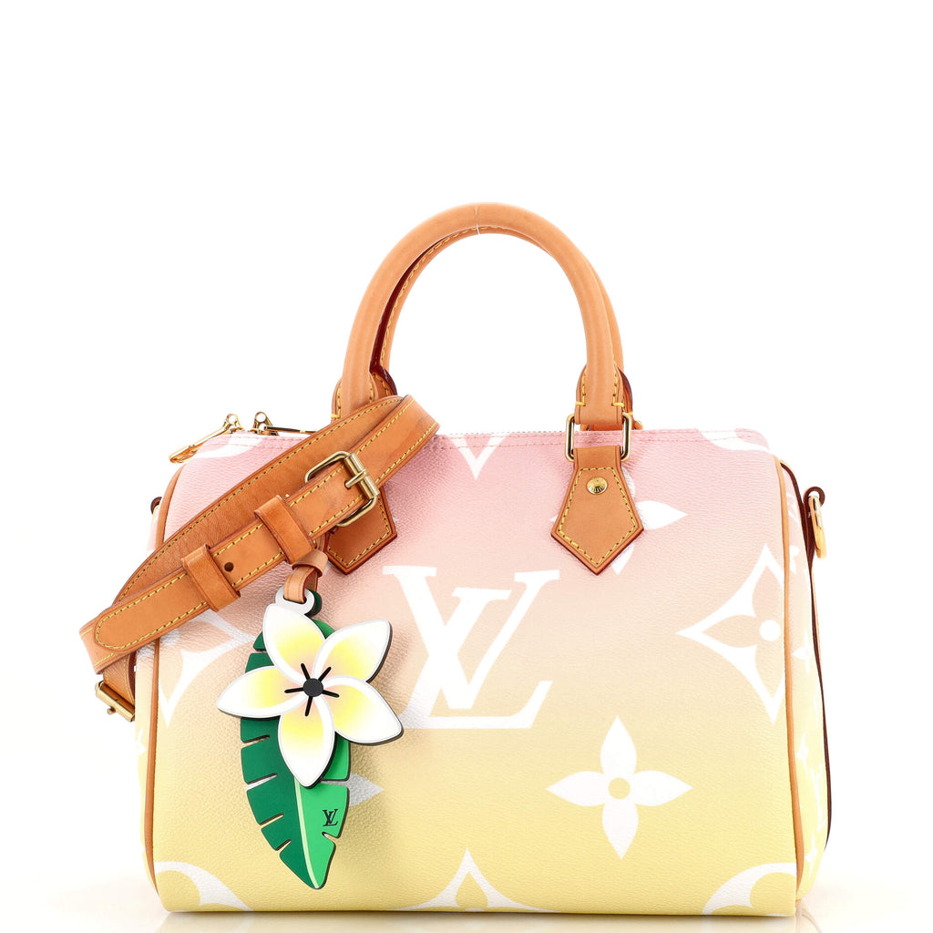 LOUIS VUITTON Monogram Giant By The Pool Speedy Bandouliere 25