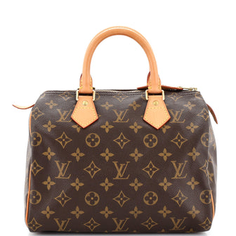 Louis Vuitton Speedy Handbag Monogram Canvas 25