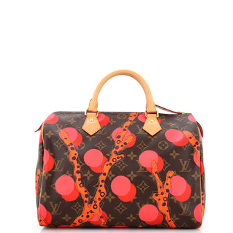 Louis Vuitton Speedy Handbag Limited Edition Monogram Ramages 30