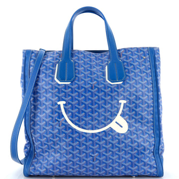 Goyard Voltaire Convertible Tote Painted Coated Canvas