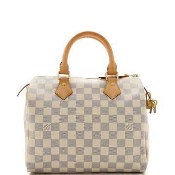 Louis Vuitton Speedy Handbag Damier 25
