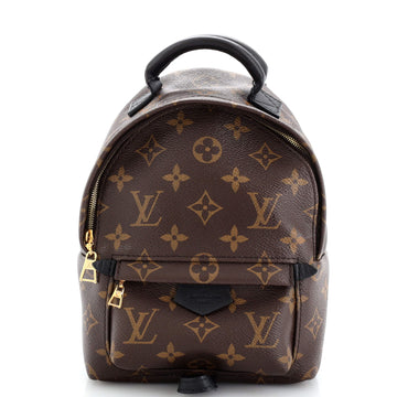 Louis Vuitton Palm Springs Backpack Monogram Canvas Mini