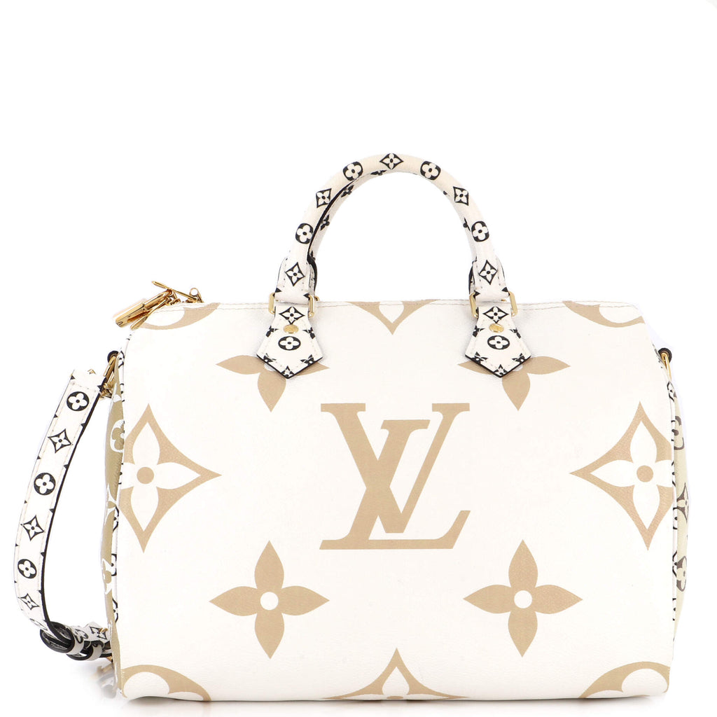 Louis Vuitton Speedy GAME ON 30 Limited edition Multiple colors