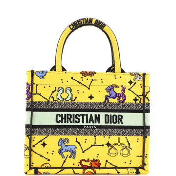 Christian Dior Book Tote Embroidered Canvas Small