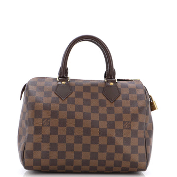 Louis Vuitton Speedy Handbag Damier 25