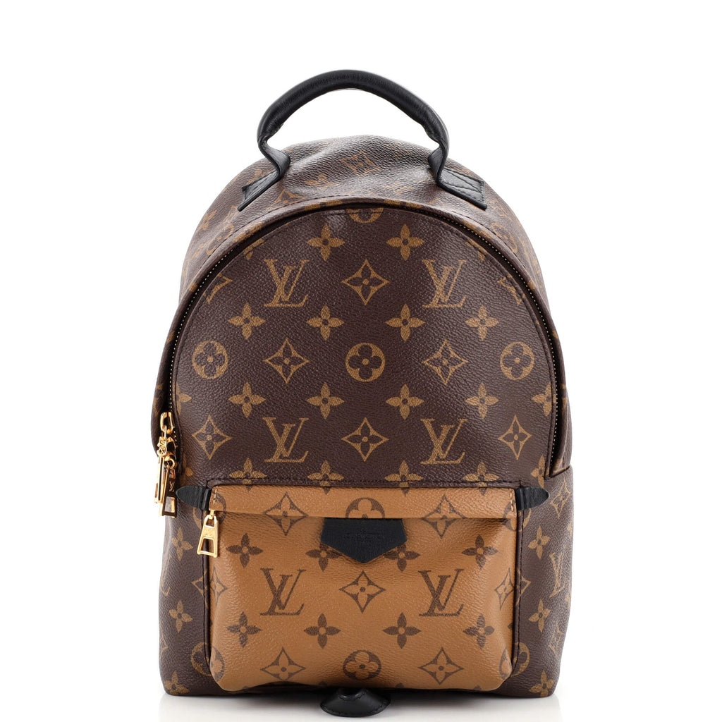 Louis Vuitton Palm Springs Backpack PM(Brown)