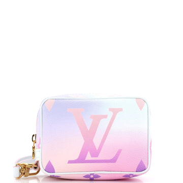 Louis Vuitton Wapity Case Spring in the City Monogram Giant Canvas