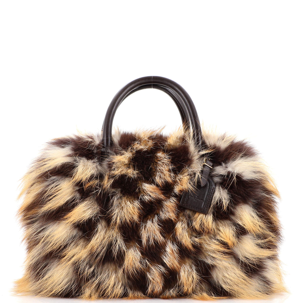 Louis Vuitton Speedy Handbag Damier Fur 30 Brown 2151991