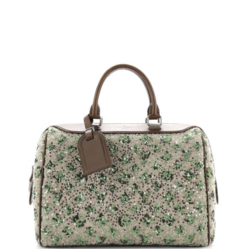 Louis Vuitton Speedy Handbag Limited Edition Sunshine Express 30