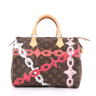 Louis Vuitton Speedy Handbag Limited Edition Bay 2195201