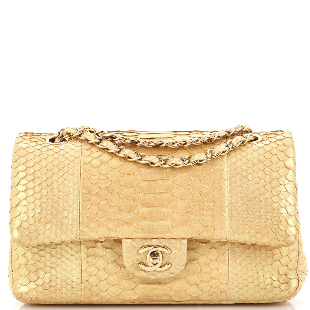 Chanel Python Classic Flap Bag