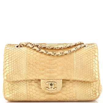 Chanel Classic Double Flap Bag Python Medium