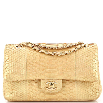 Chanel Classic Double Flap Bag Python Medium