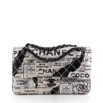 Chanel Classic Double Flap Bag Limited Edition Hand Painted Lambskin Medium Silver